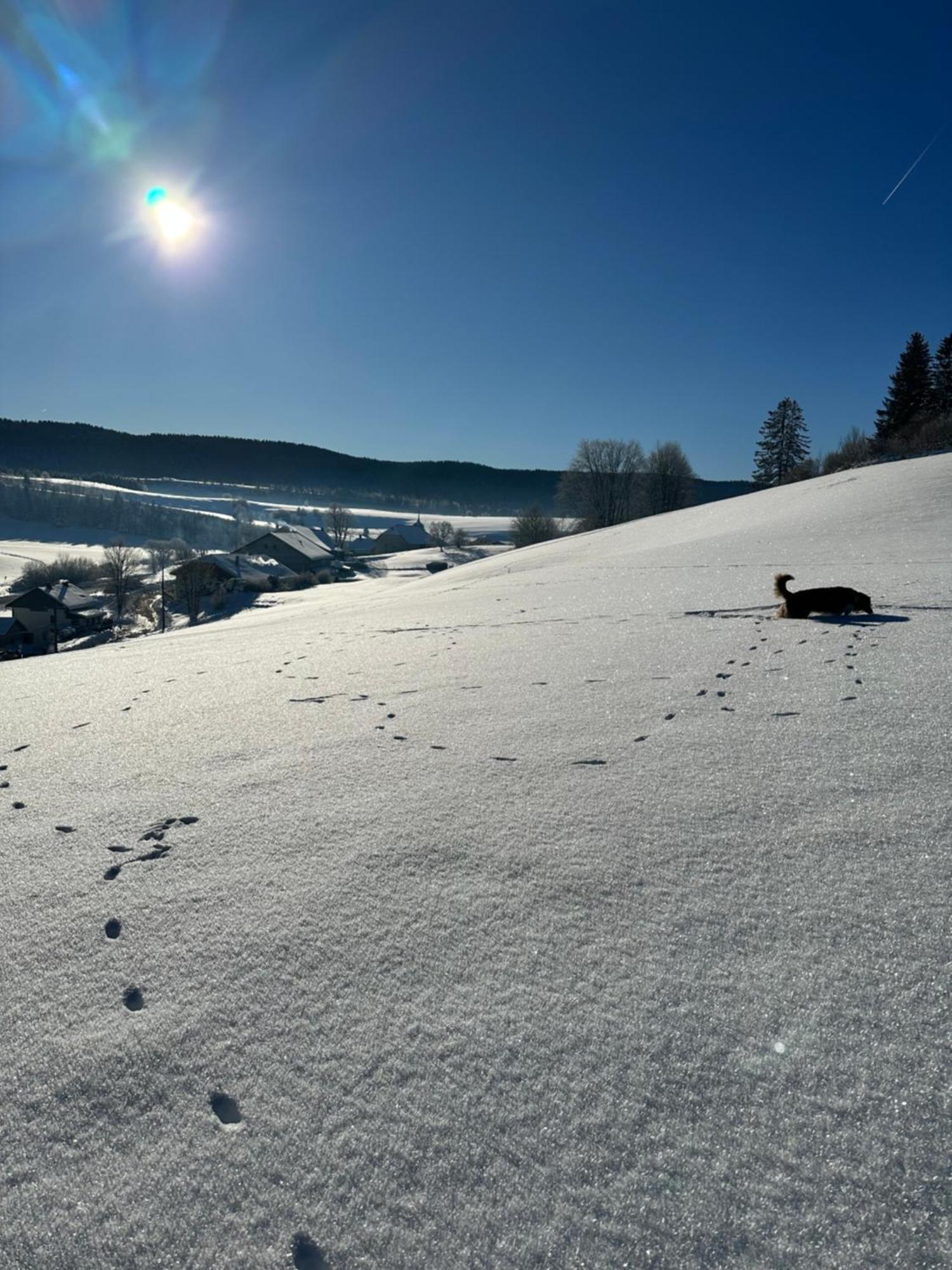 Le Belvedere Des Deux Lacs Le Brey et Maison du Bois Exteriér fotografie